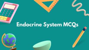 Top Endocrine System MCQ (Multiple Choice Questions)
